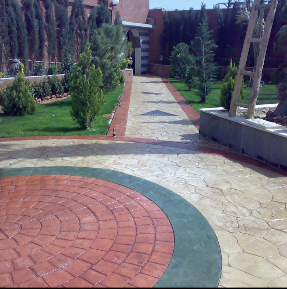 اشجار - 12