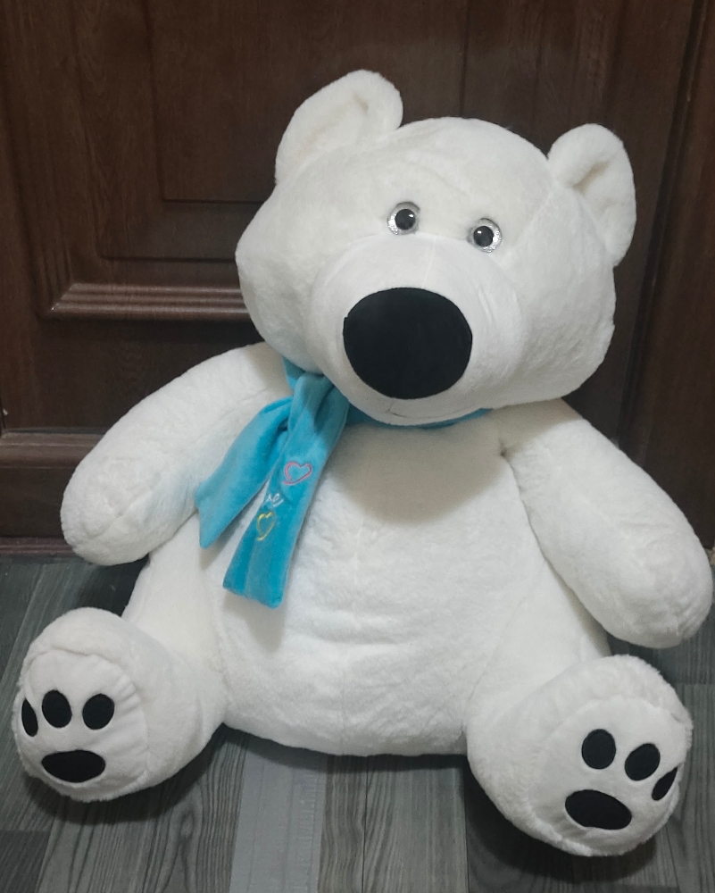 WHITE POLAR BEAR - 1