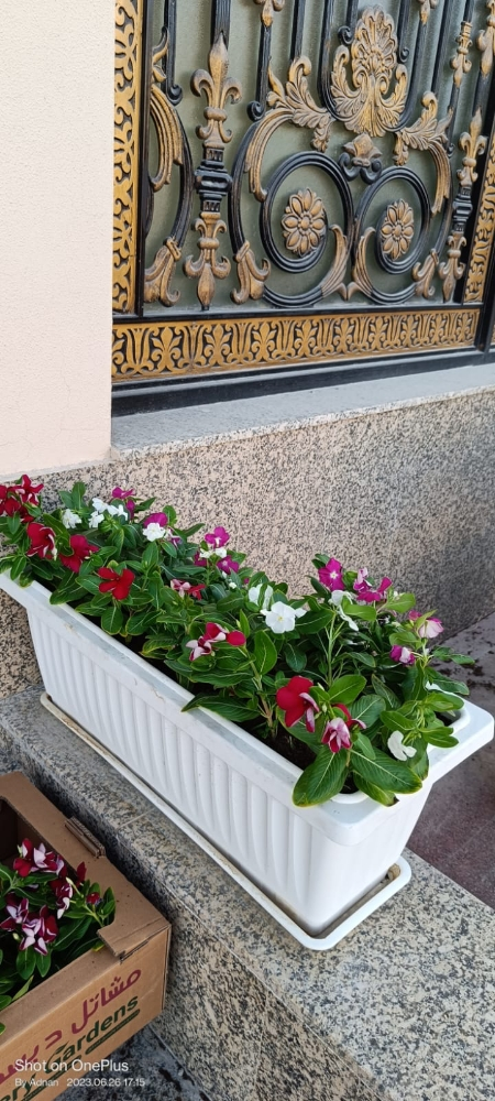 زراعات حديثه وعامه - 5