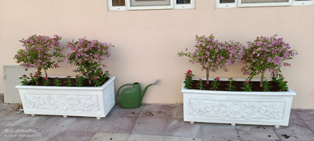 زراعه حوض ووورد واشجار - 1