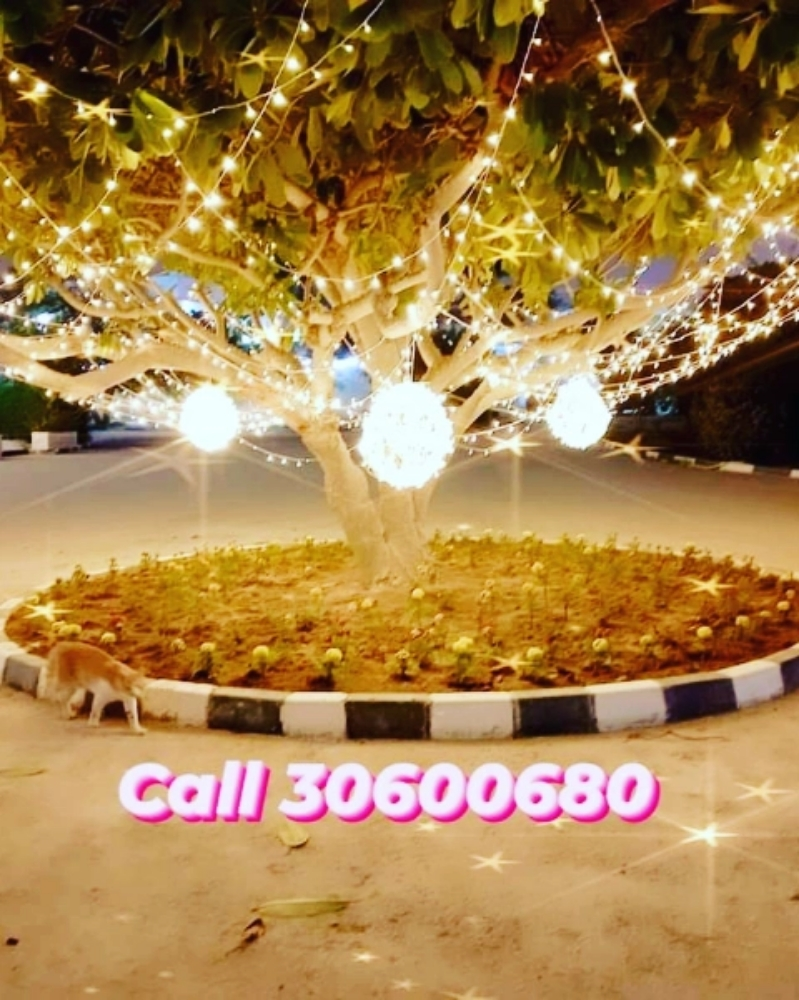 Light Installation Service - 14