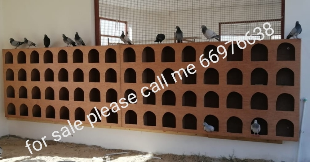 Hammam house - 4