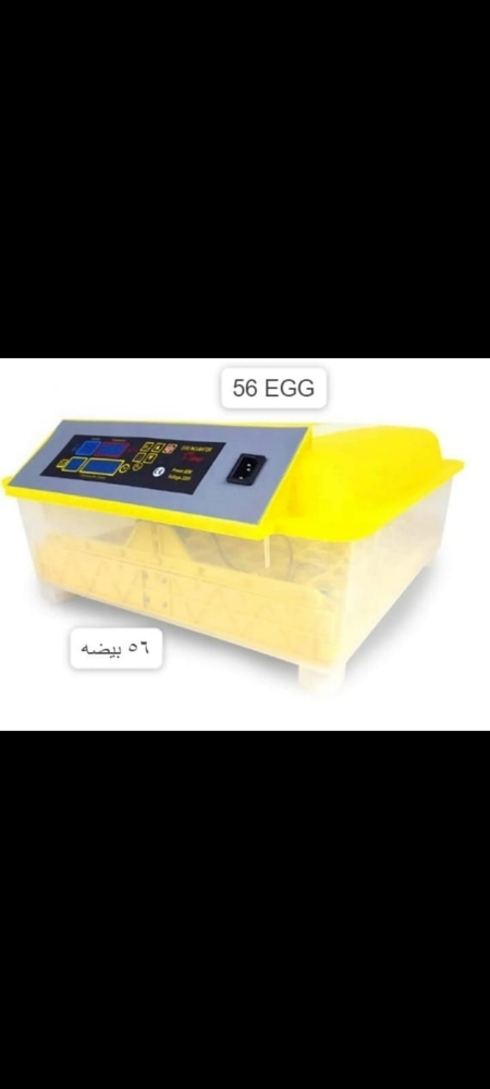 INCUBATORS FOR BIRDS - 4