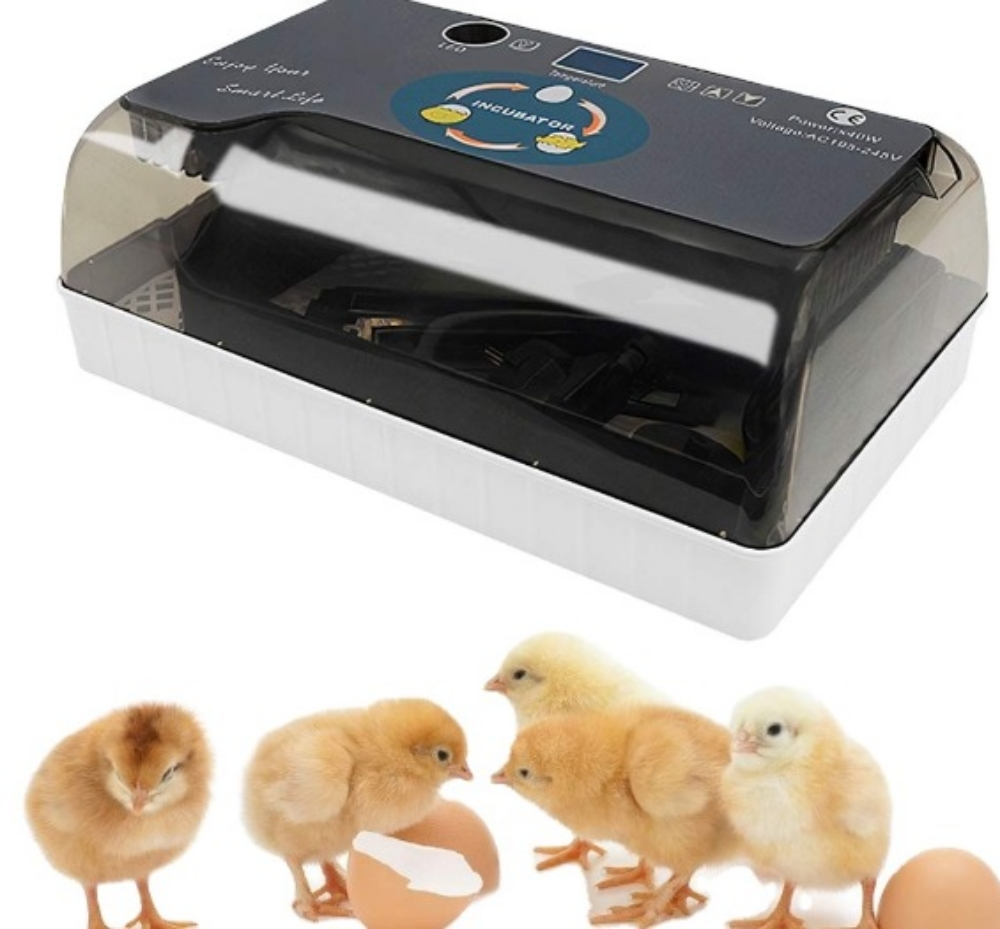 INCUBATORS FOR BIRDS - 3