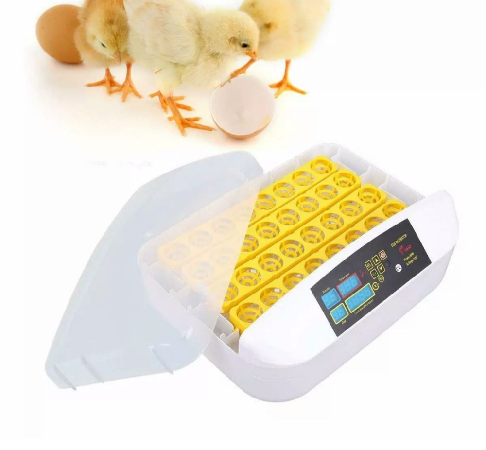 INCUBATORS FOR BIRDS - 7
