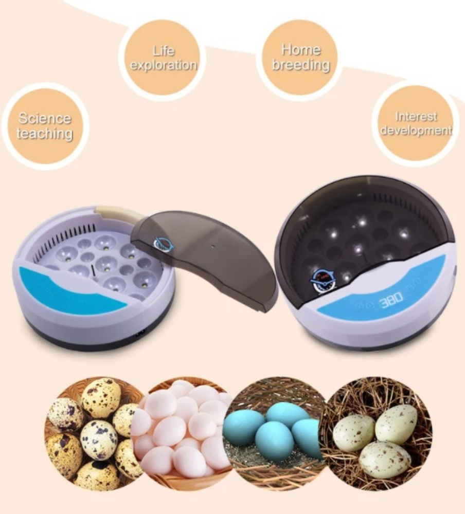 INCUBATORS FOR BIRDS - 2