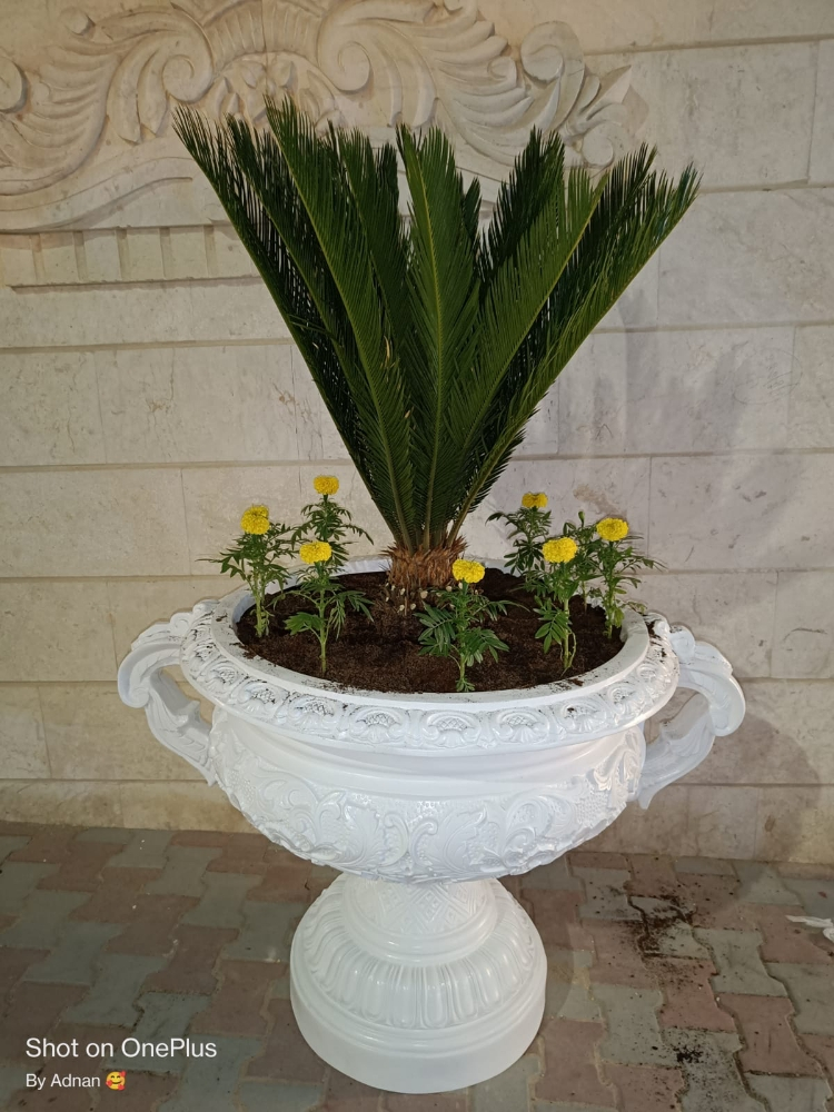 احدث احواض زراعه - 3