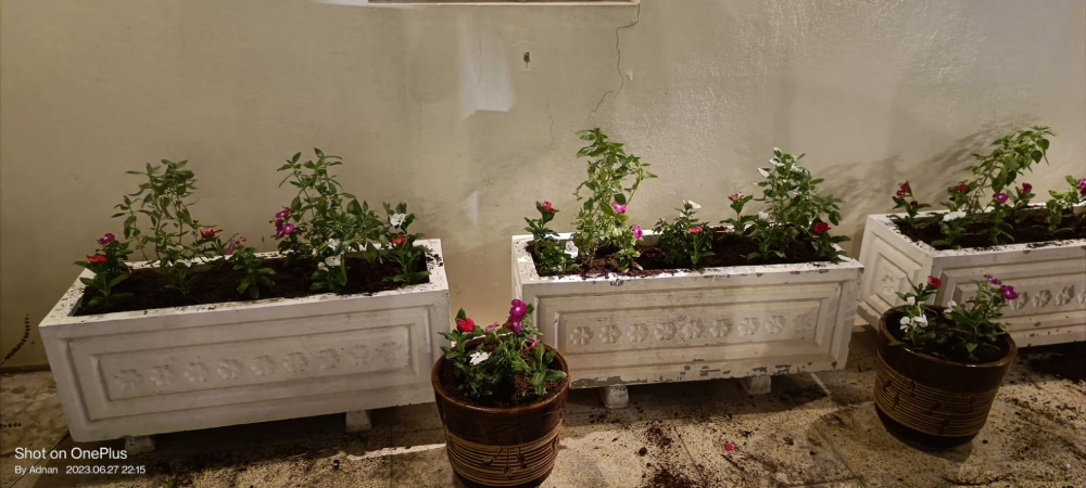 احدث احواض زراعه - 2
