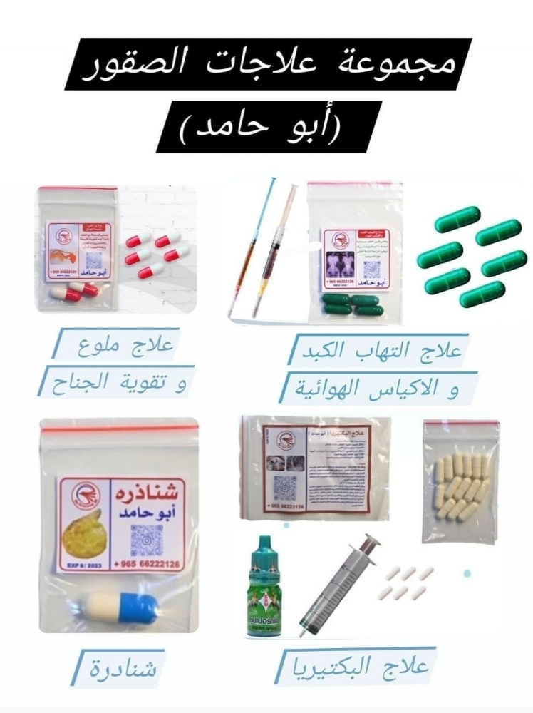 كورسات و مستلزمات حق الصقور - 1