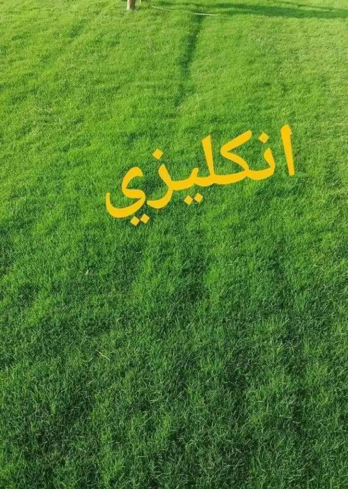 ديكورات حداءق - 9