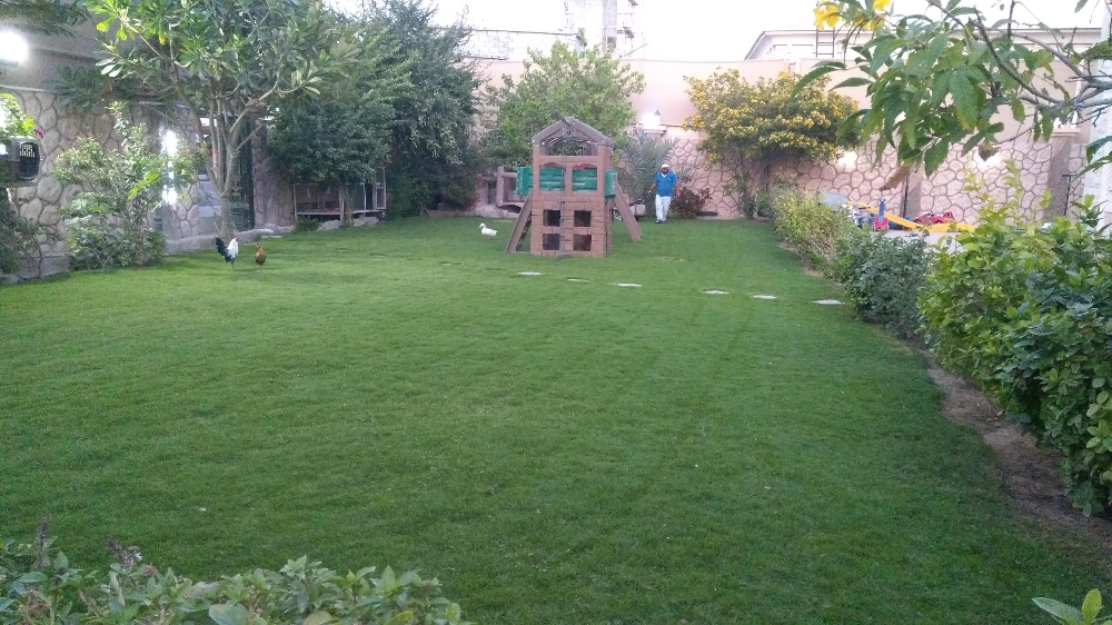 زراعه تنسيق حدائق - 3