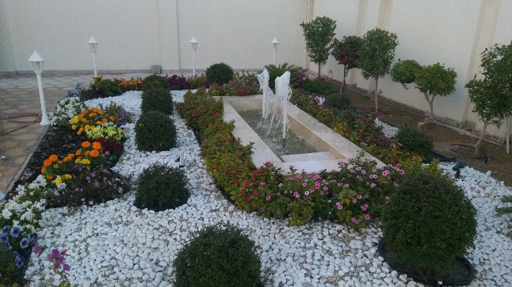زراعه تنسيق حدائق - 2