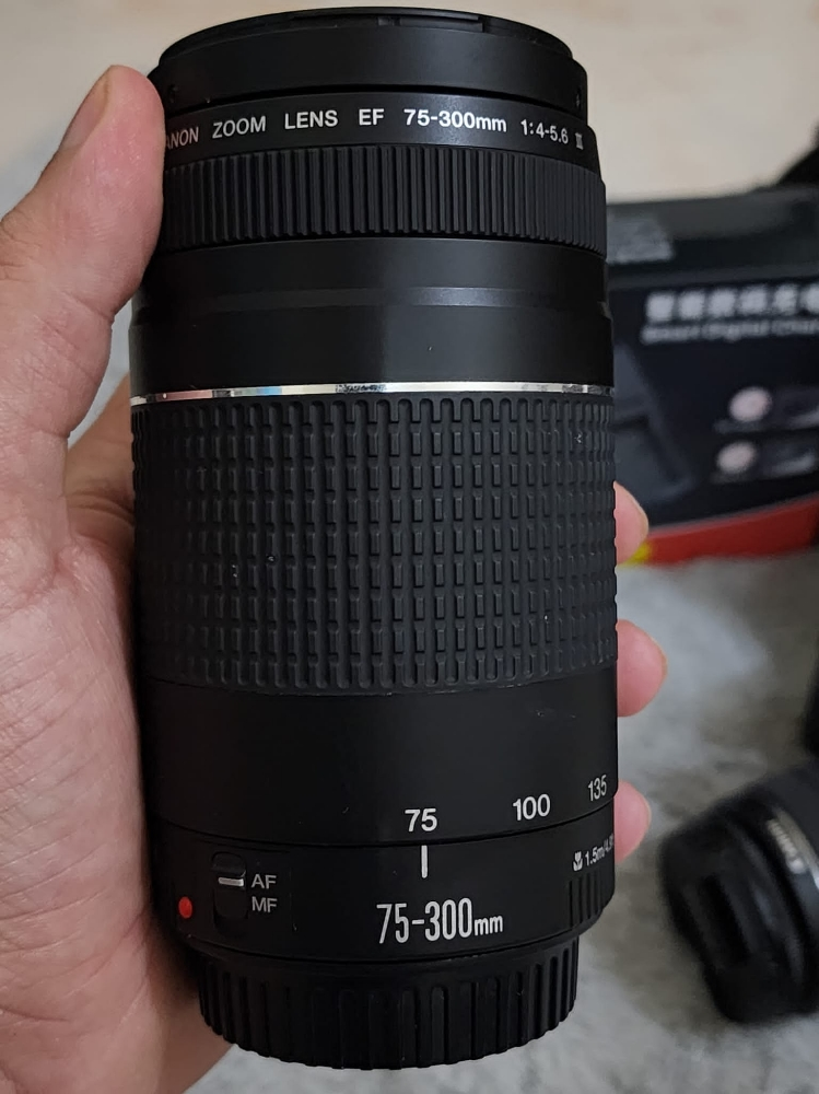 canon 2000D with 2 lenses - 2