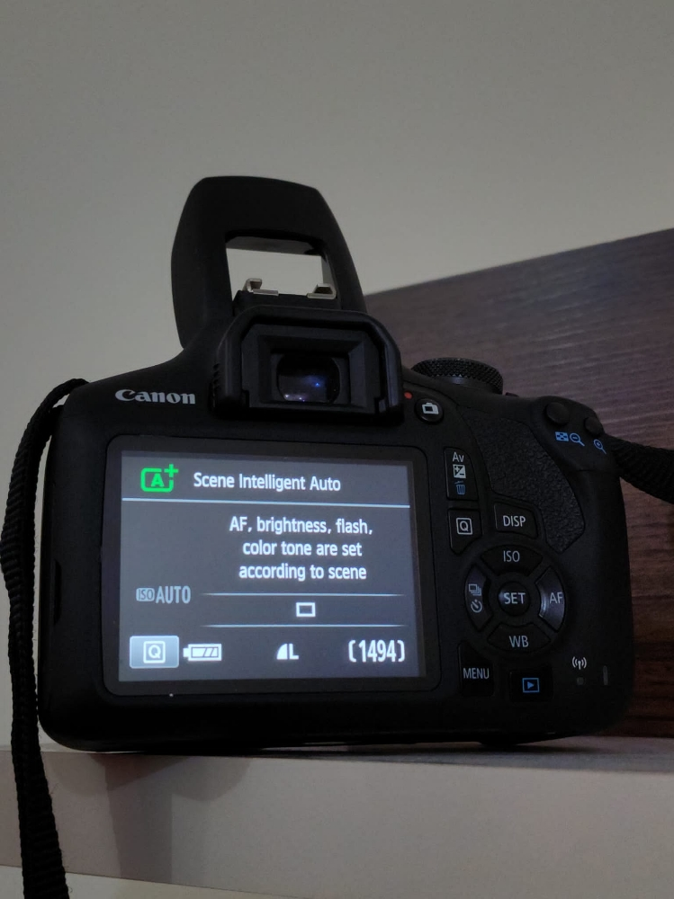 canon 2000D with 2 lenses - 3