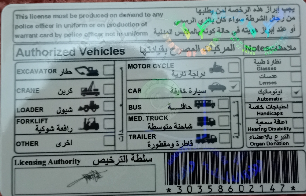 Muhammad Qasim - 1