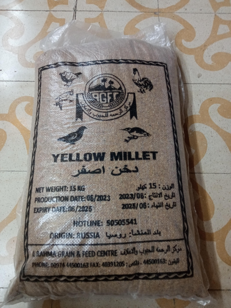 دخن اصفر طعام للطيور - 2
