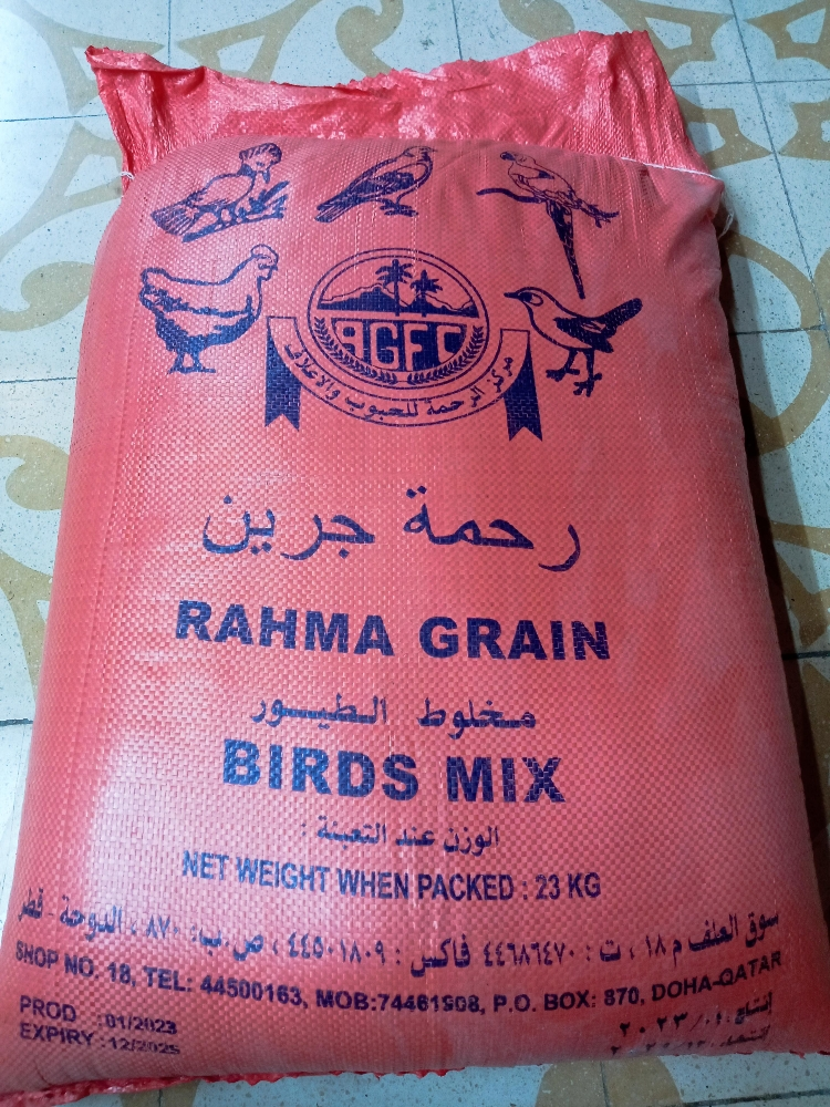 رحمة جرين - 1
