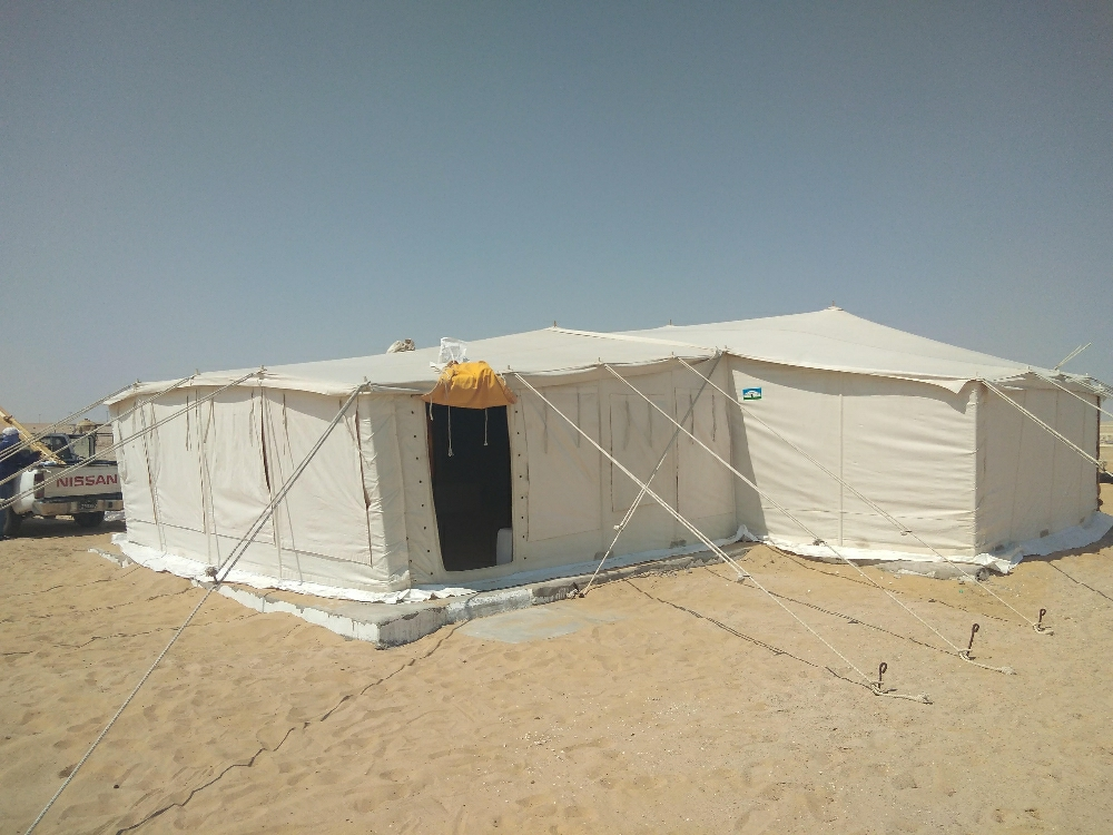 مجالس ستاير - 14