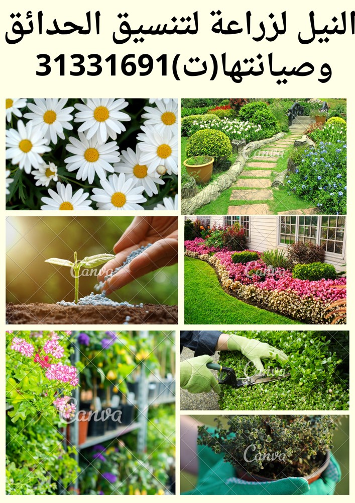 ابو يوسف - 12