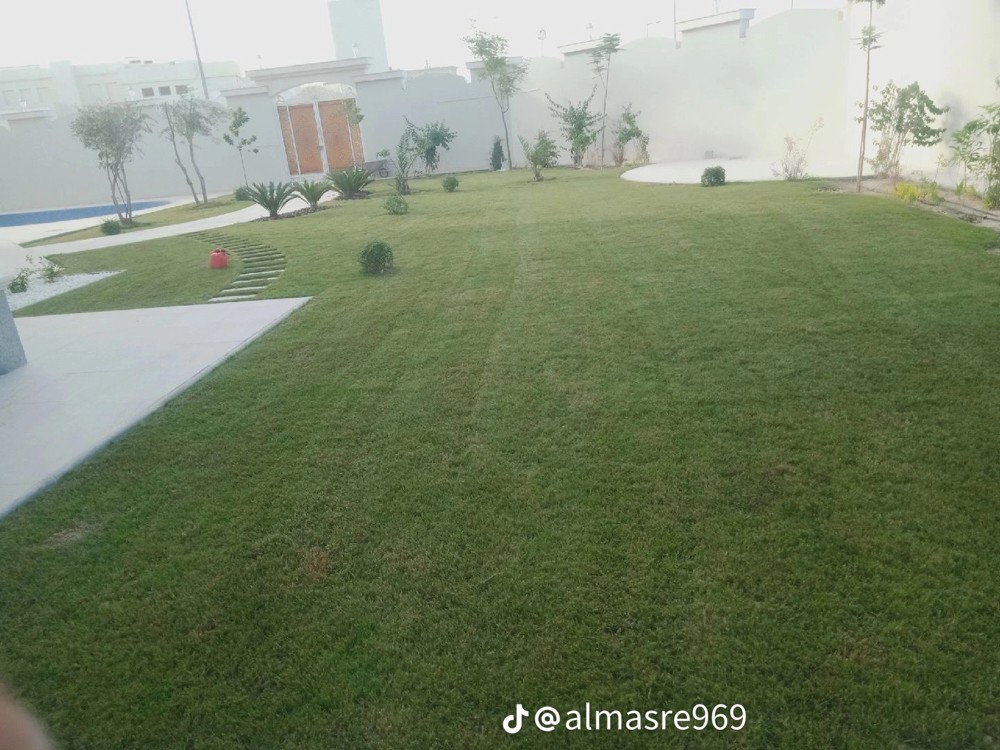 ابو يوسف - 7