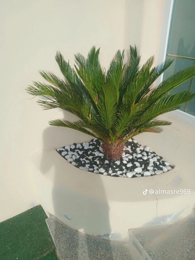 ابو يوسف - 3
