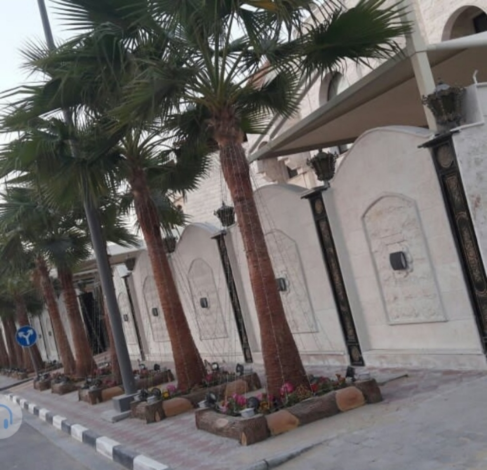 نخيل - 15