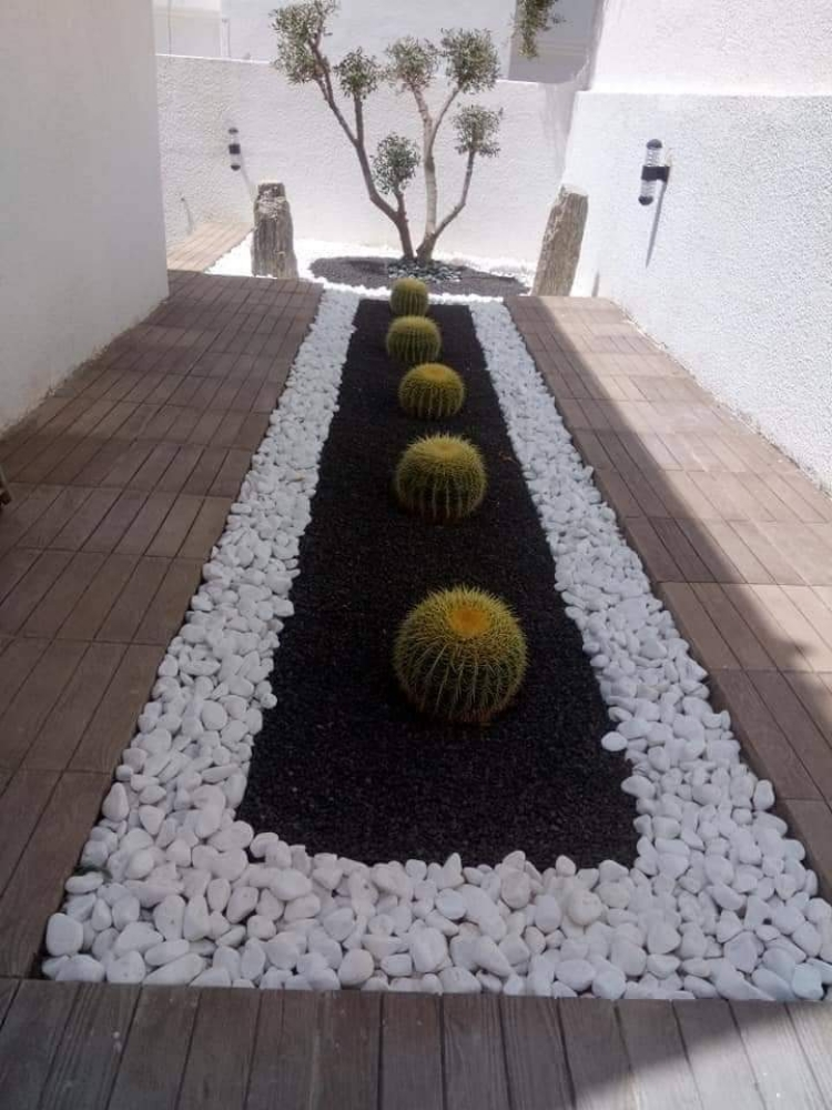 حصه زينه - 1