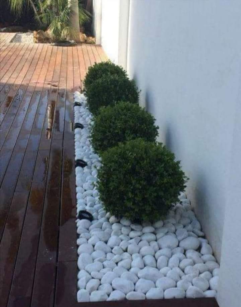 حصه زينه - 2