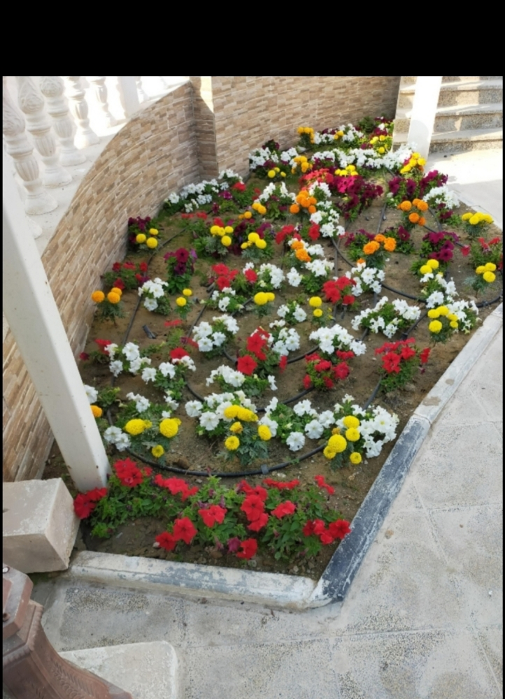 ترتيب وزرع الاحواض - 1