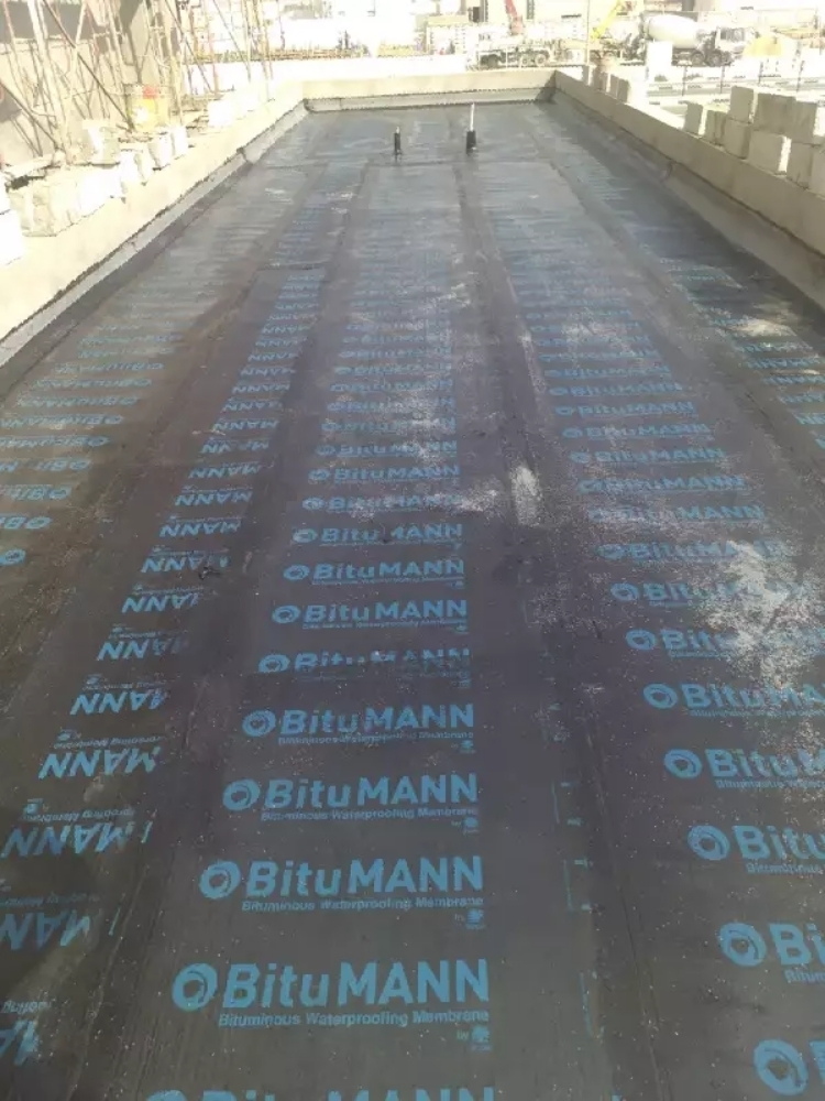 احمد - 7