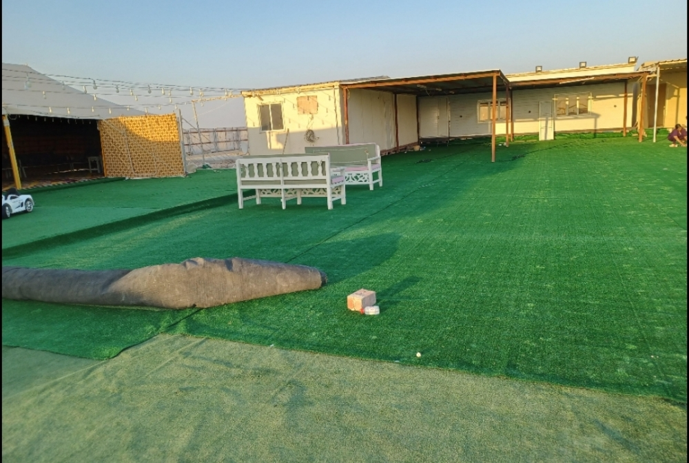 إذا كنت بحاجة إلى سجادة عشب ، اتص - 1