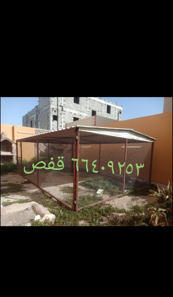 قفص حمامت - 1