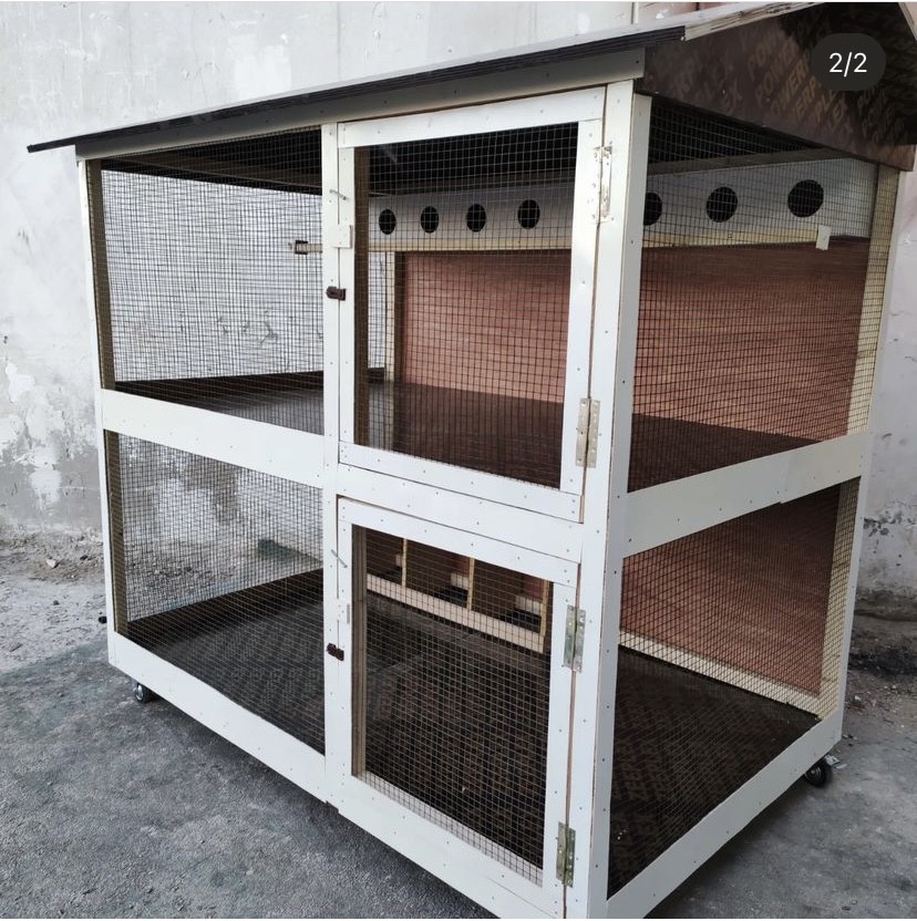 Birds cage  - 3