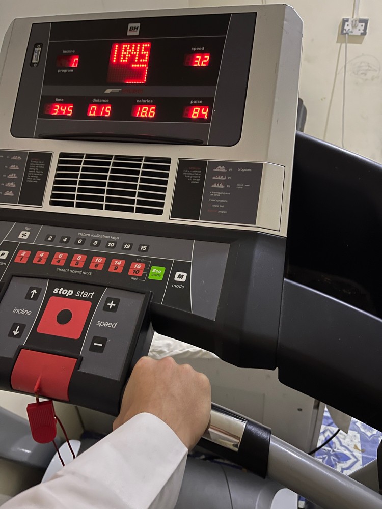 treadmill BH5 - 8