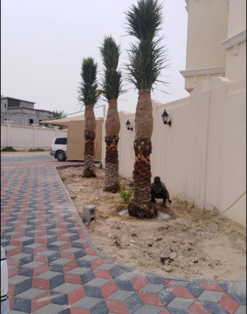 شركة زراعيه - 4