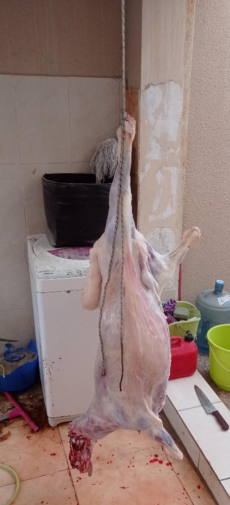 قصاب مصري - 1