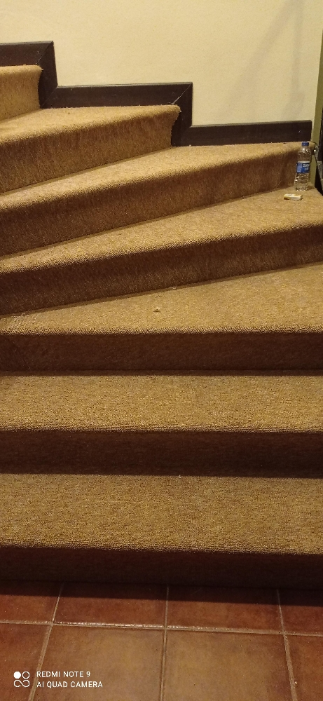 step turkey carpet. - 4