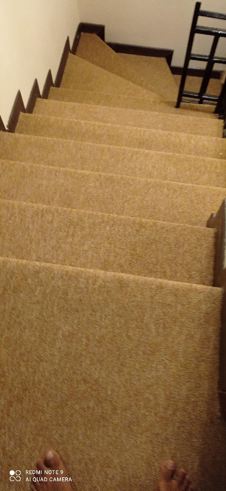 step turkey carpet. - 8