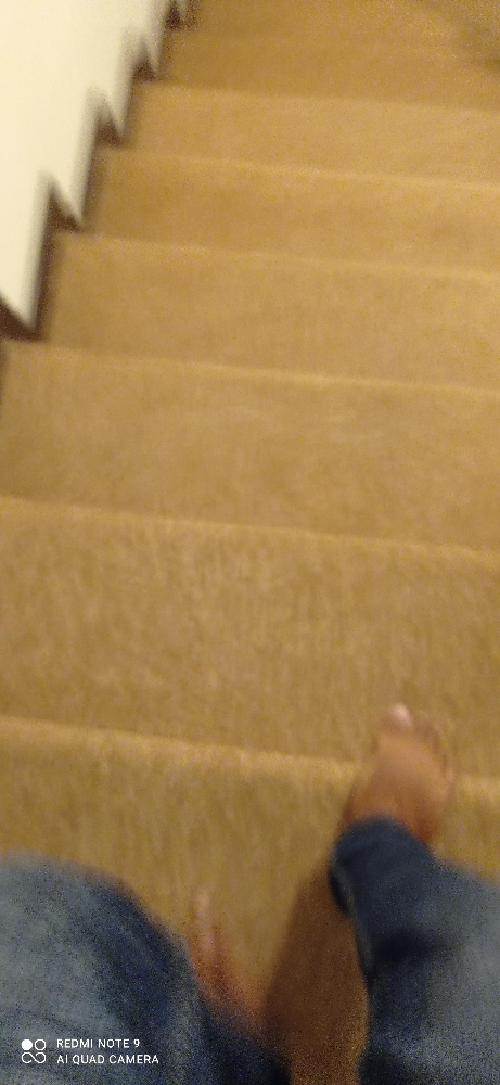 step turkey carpet. - 2