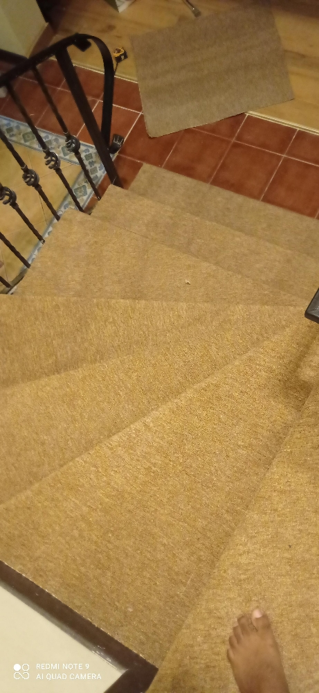 step turkey carpet. - 5