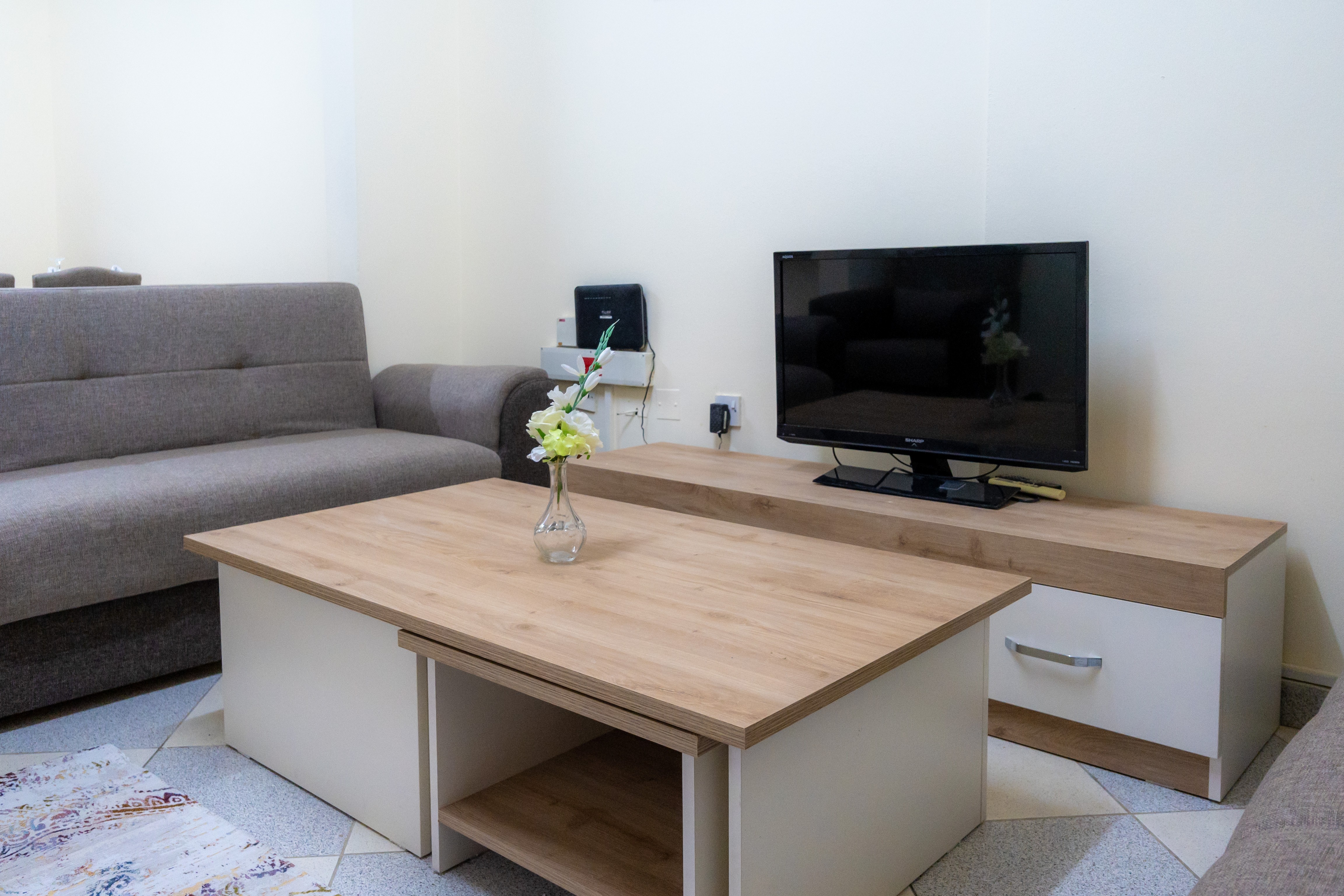 Beautiful 2BHK Furnished Flat - 12