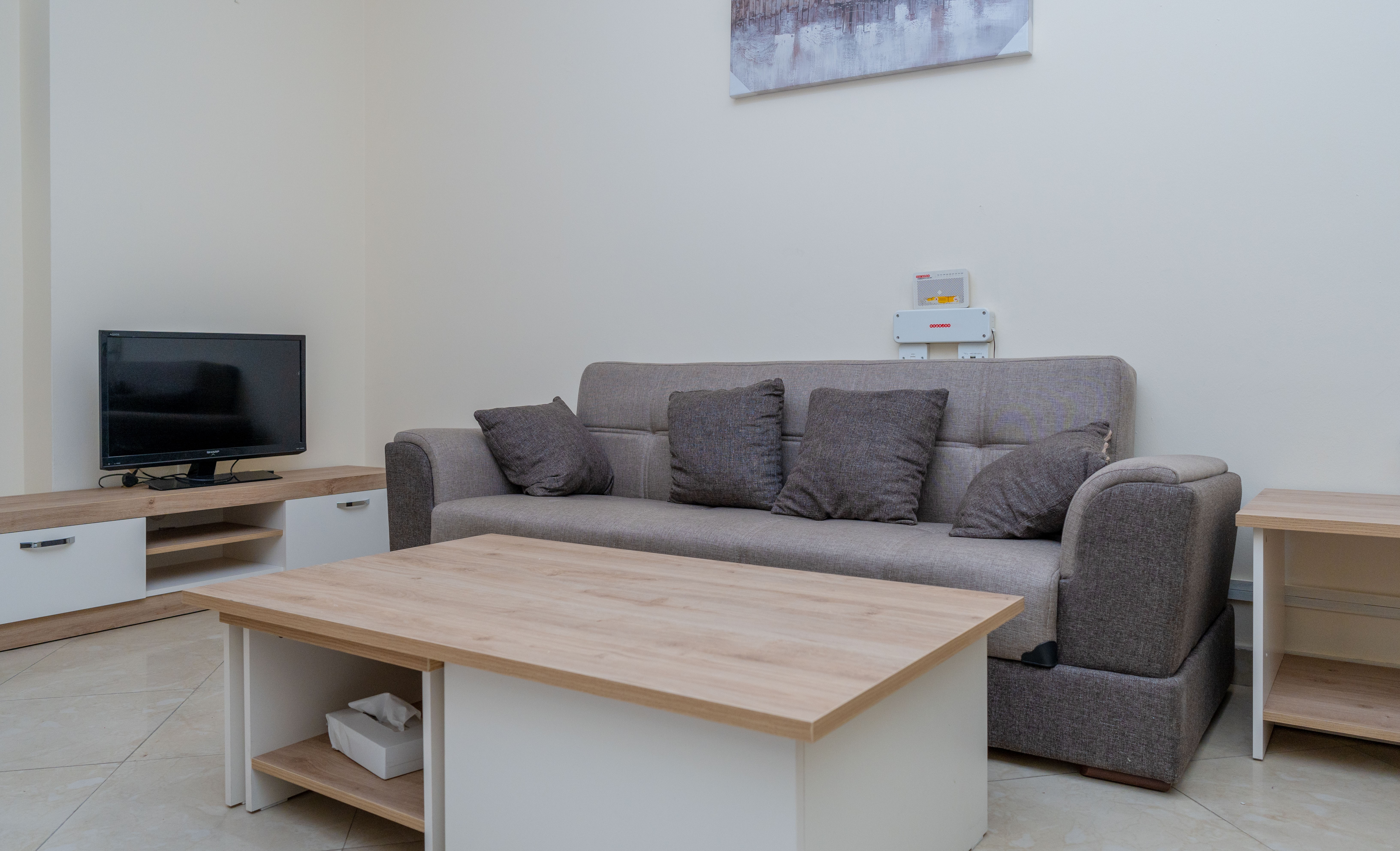 Lovely 2 BR Fully Furnished - 9
