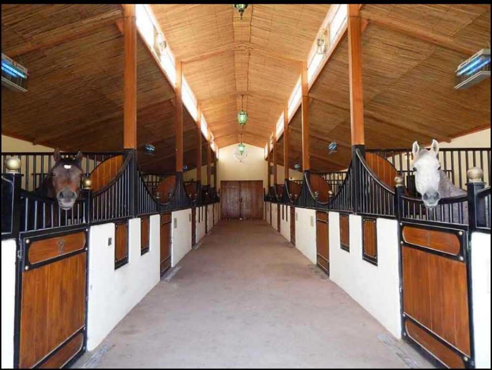 اسطبلات خيل - 2
