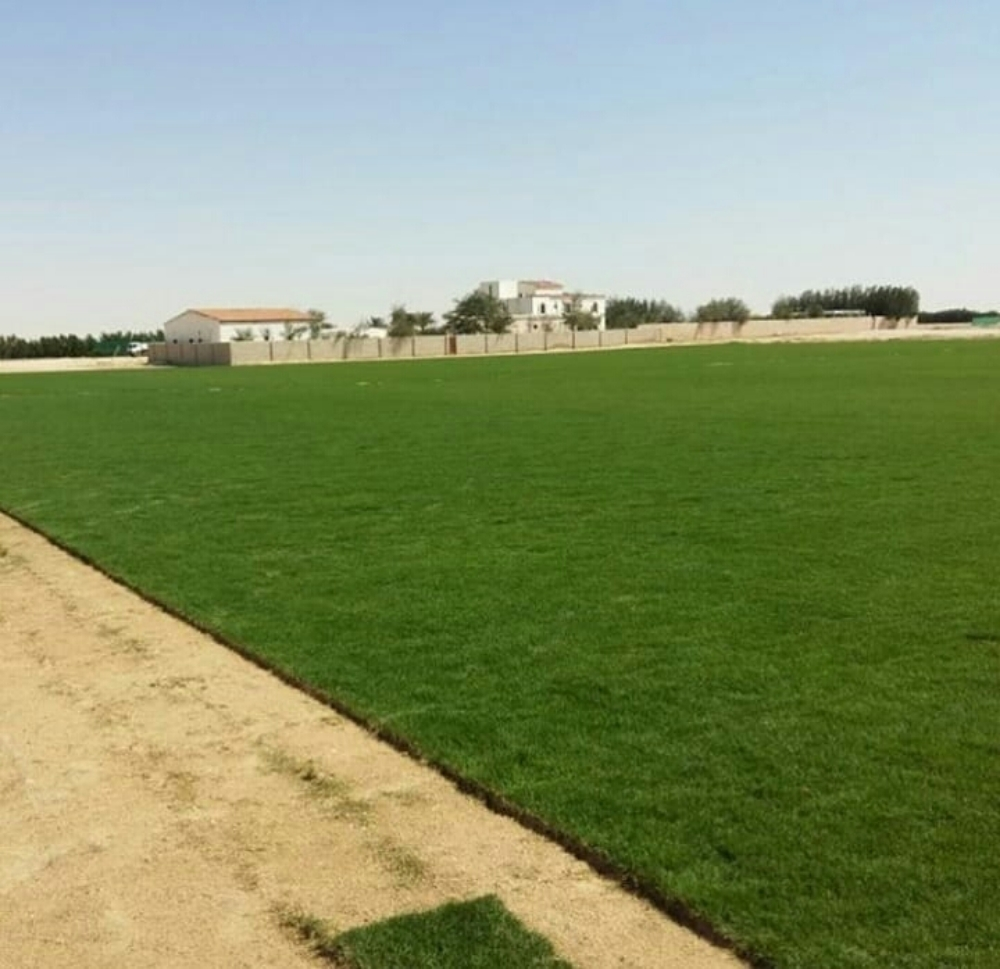 الزراعة الحديق - 4