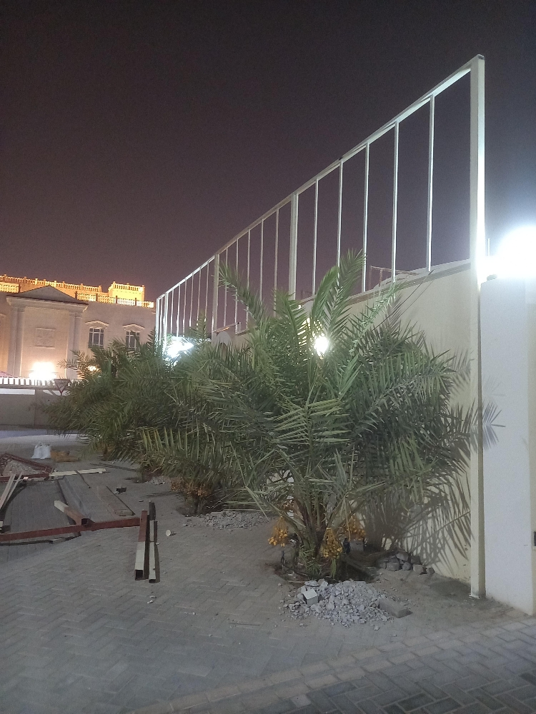 مضلات  - 7