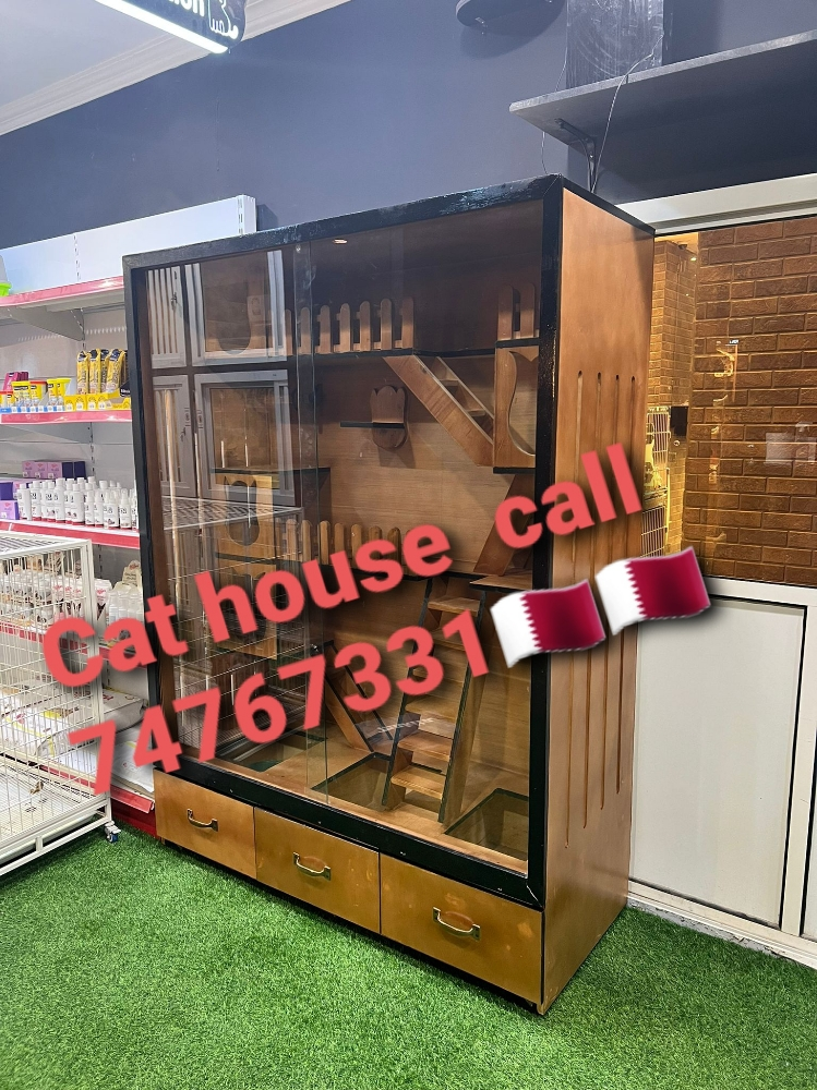 Cat house - 1