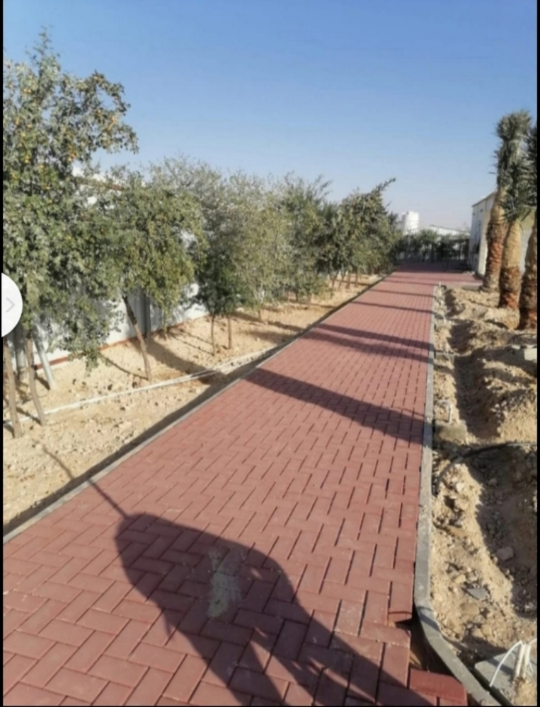انترلوك - 2