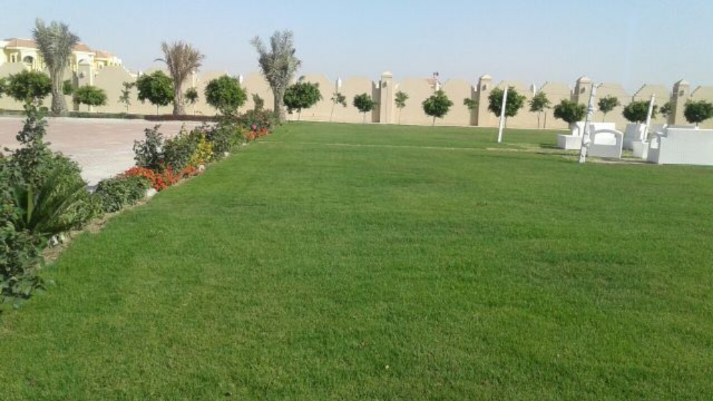 الزراعة الحديق - 6