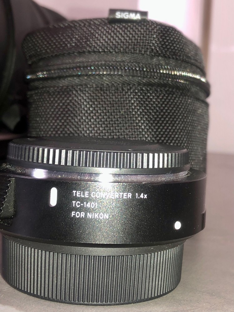 sigma sport 150-600 - 6