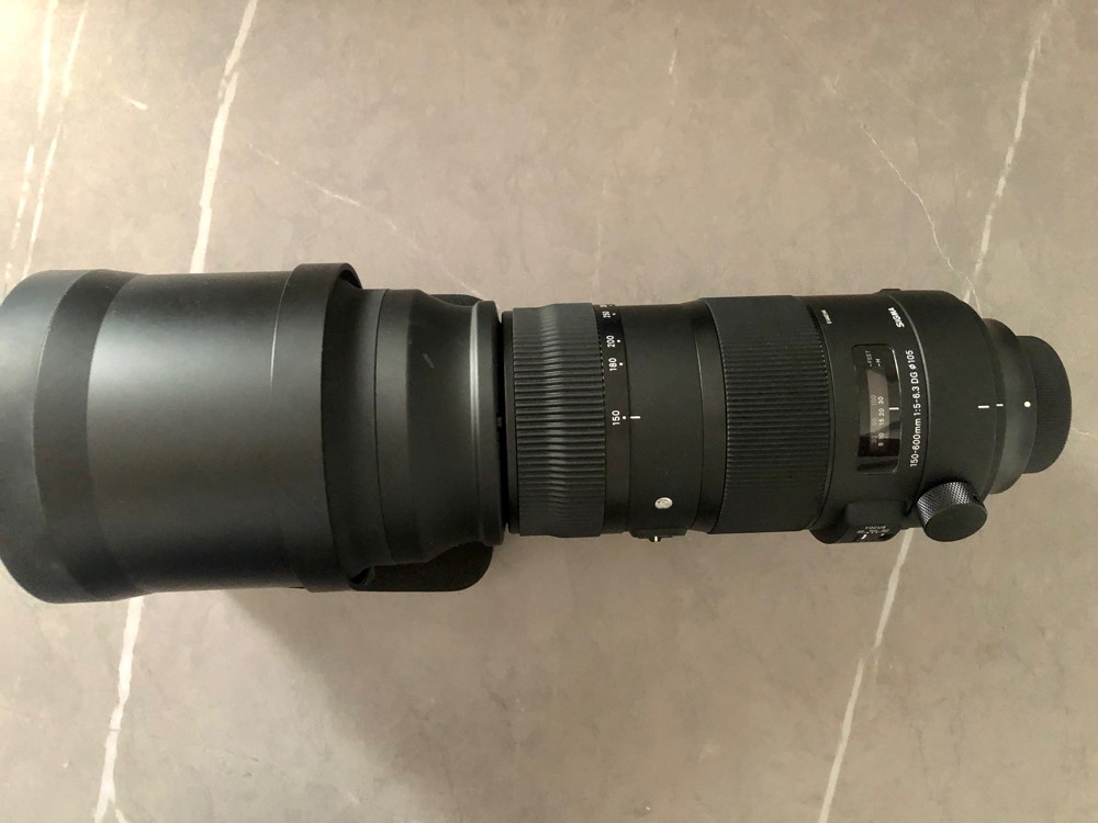 sigma sport 150-600 - 2